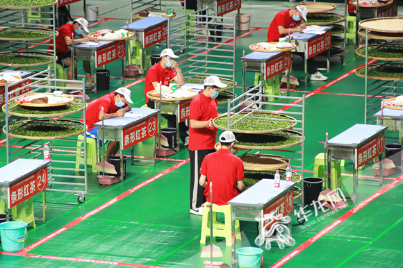 参赛选手现场制作条形红茶。华龙网-新重庆客户端 张颖绿荞 摄