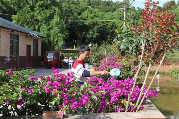 铜梁区小林镇华寿村11社群众打理自家庭院花草，美好环境。通讯员 陈刚 摄
