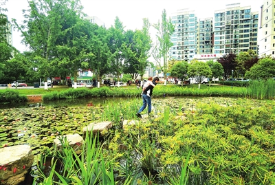 3窝子溪湿地公园，市民行走在绿意盎然、鲜花盛开的美景中。记者 向泓羽 摄