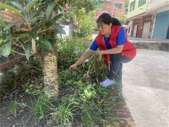 志愿者帮助村民清理花台杂草。通讯员 张巧竹 摄