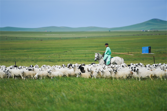 牧民在草原上放牧。新华社记者 刘磊 摄