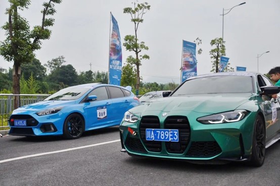 图片8