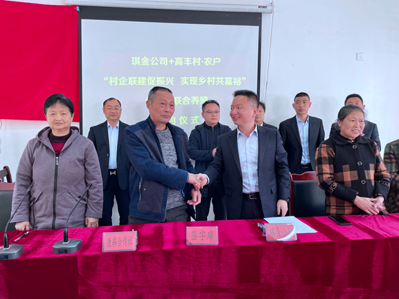 20220309 琪金与高丰村农户签订荣昌猪养殖协议 (11)