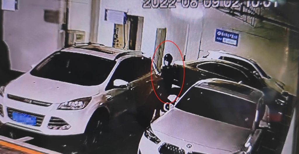 0盗走李先生车内财物的男子。公共视频截图