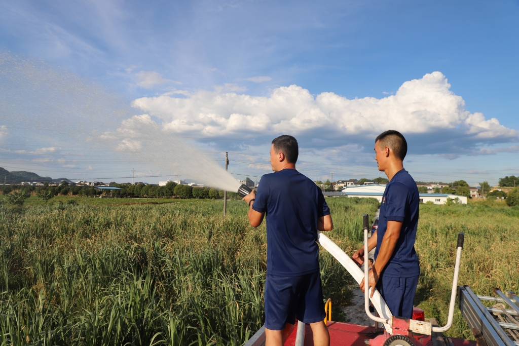 消防员对农作物进行浇灌。秀山县消防救援大队供图 华龙网发