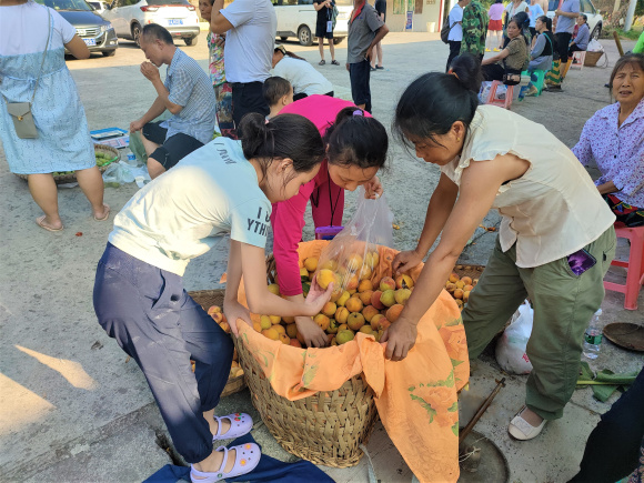 图九：游客正在向村民购买桃子。湛江涛，摄