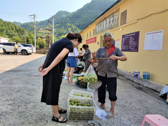 图十：游客正在向村民购买李子。湛江涛，摄