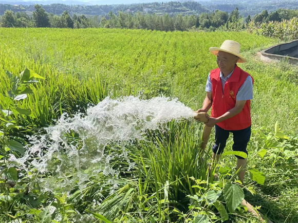 盘龙街道党员干部帮助村民抽水浇灌稻谷。中共云阳县委组织部供图 华龙网发