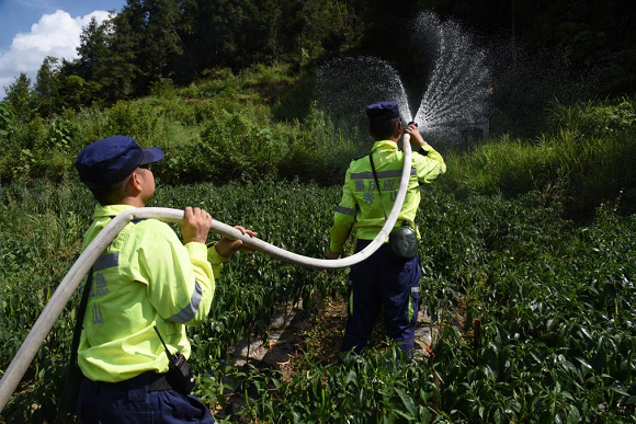 应急管理局综合救援队队员抽水灌溉辣椒。通讯员 任燕 摄