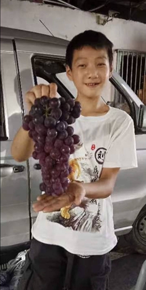 刘敬春大儿子帮忙卖葡萄。受访者供图