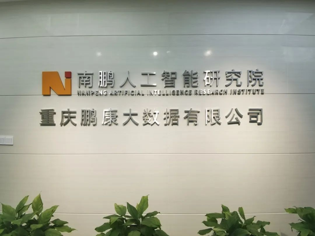 重庆南鹏人工智能科技研究院。两江协同创新区供图