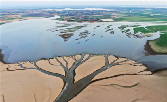这是8月22日在江西鄱阳湖进贤段水域拍摄的“大地之树”景观（无人机照片）。新华社记者 万象 摄