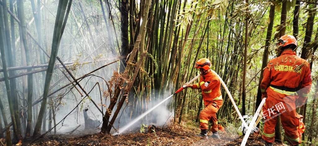 消防队员正在给树木“降温”，防止复燃。
