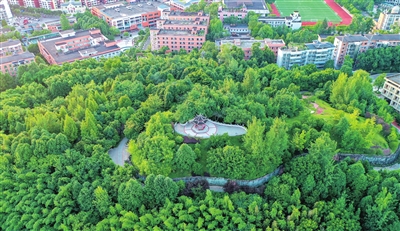 4绿树环绕的正龙寺公园。记者 熊伟 摄