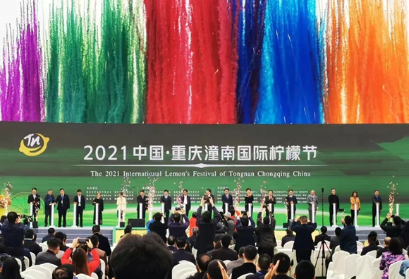 图片17