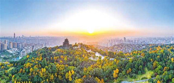 鸿恩寺森林公园