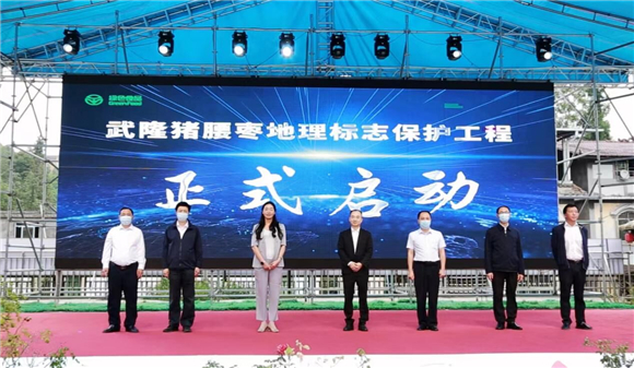 武隆猪腰枣地理标志保护工程正式启动。 重庆市农产品质量安全中心供图 华龙网发
