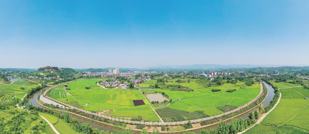 "Thousand years of fertile farmland" of Laisu town in Yongchuan District has shown the hope of a bumper harvest. (Photographed by Chen Keru)