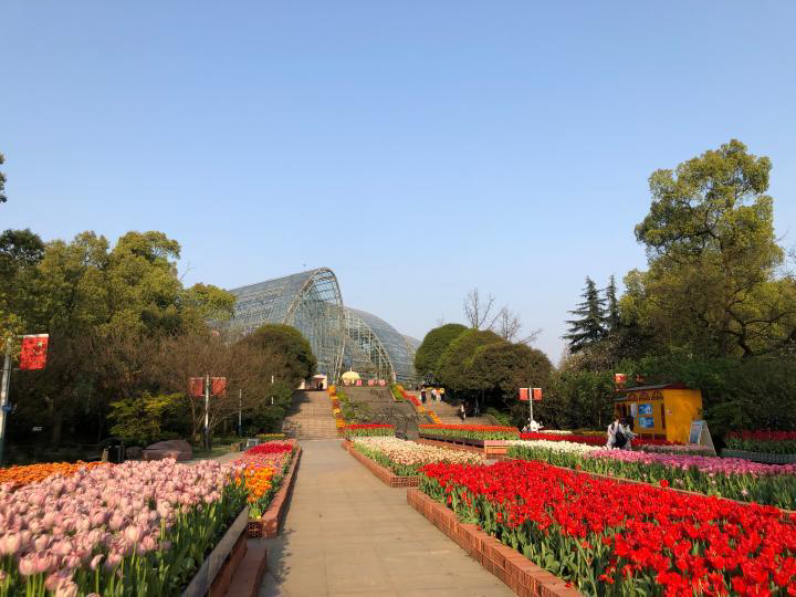 重慶市南山植物園管理處發佈公告,南山植物園景區(含展覽溫室,大金鷹