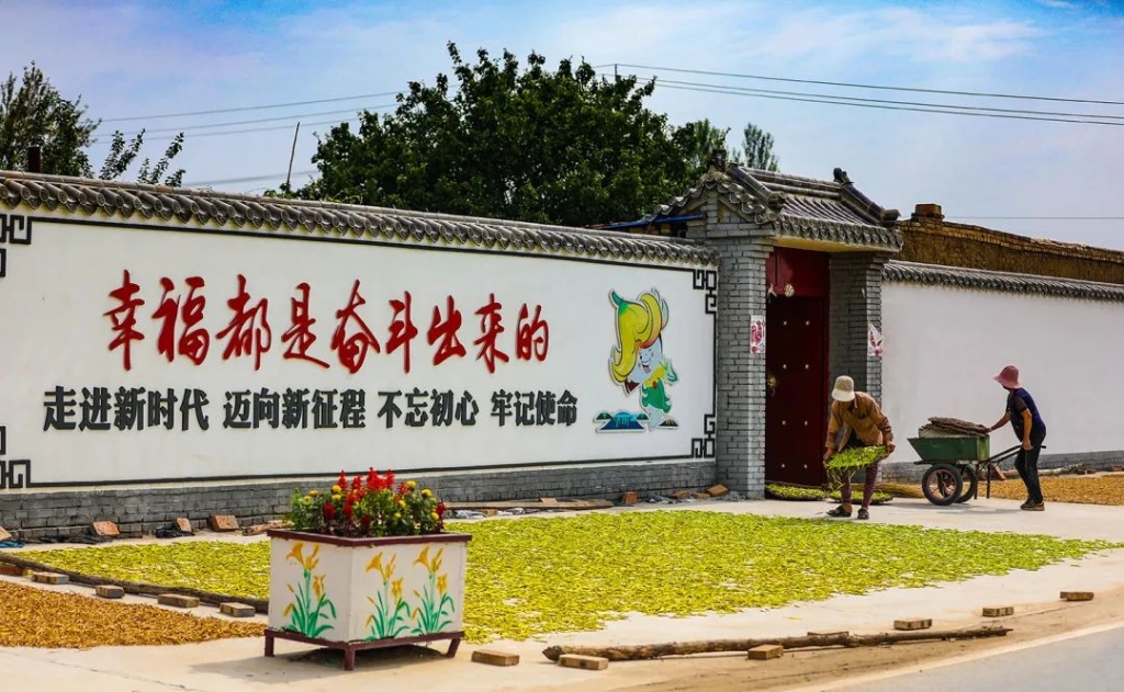 跟着总书记看中国‖小黄花 大产业6
