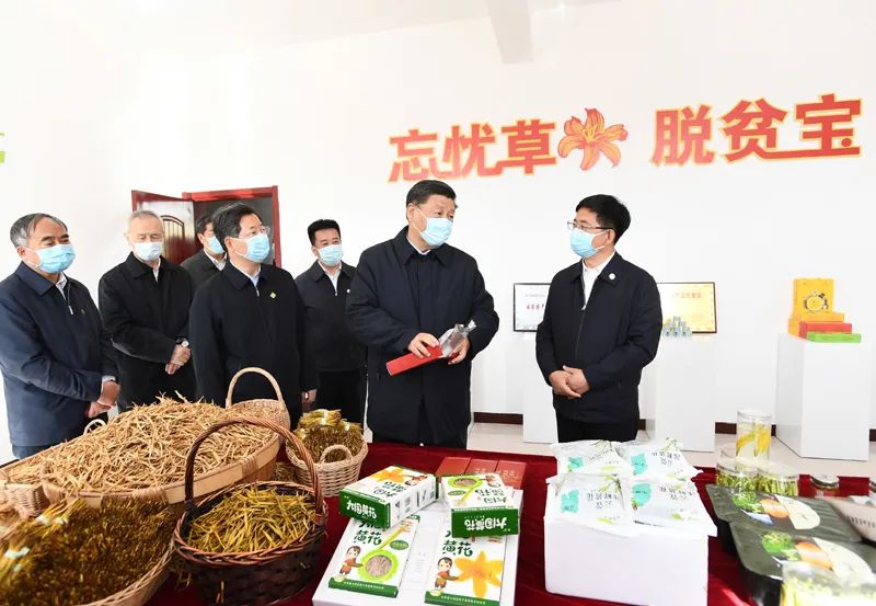 跟着总书记看中国‖小黄花 大产业3