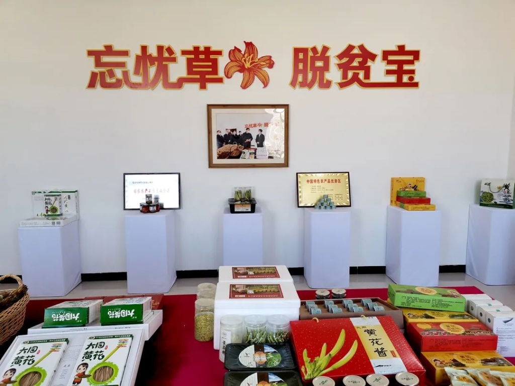 跟着总书记看中国‖小黄花 大产业11