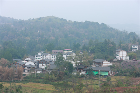 经过人居环境整治的竹山村。唐川 摄