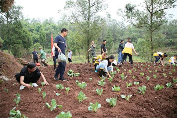 1志愿者帮助独居老人栽种应季蔬菜。特约通讯员 邓小强 摄