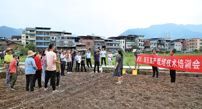 专家在田间地头对农户进行技术培训。记者 陈永松 摄