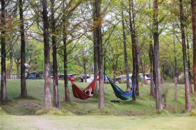 The visitors were intoxicated with the gorgeous autumn scenery in the park. (Photographed by Yang Min)