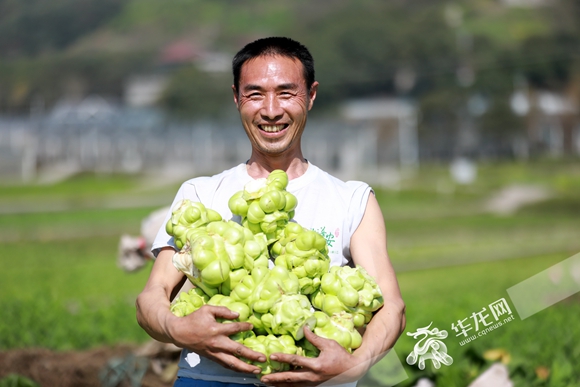 2021年重庆农产品加工业总产值增长14.6%。华龙网-新重庆客户端记者 张质 摄