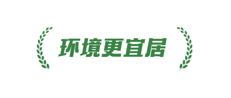 稻菽千重浪丨中国要美，农村必须美7
