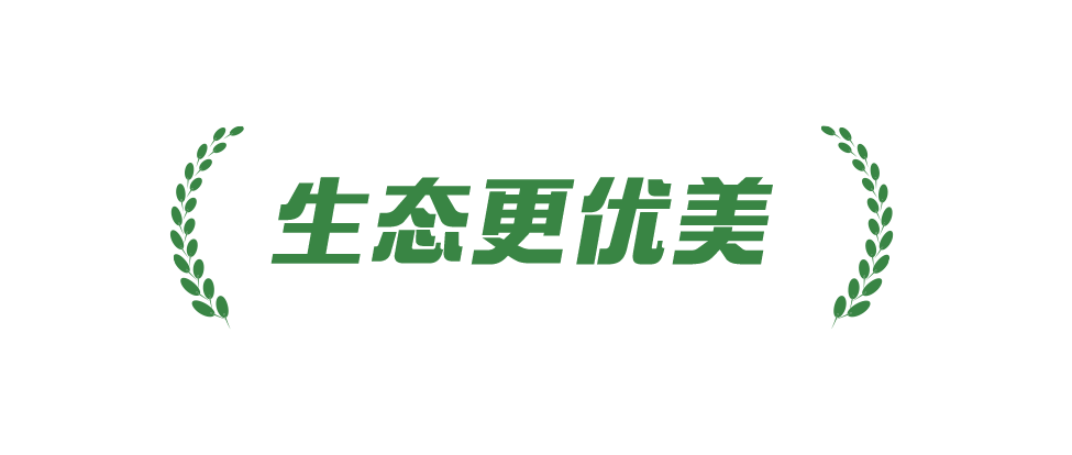稻菽千重浪丨中国要美，农村必须美3