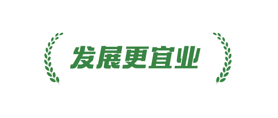 稻菽千重浪丨中国要美，农村必须美11