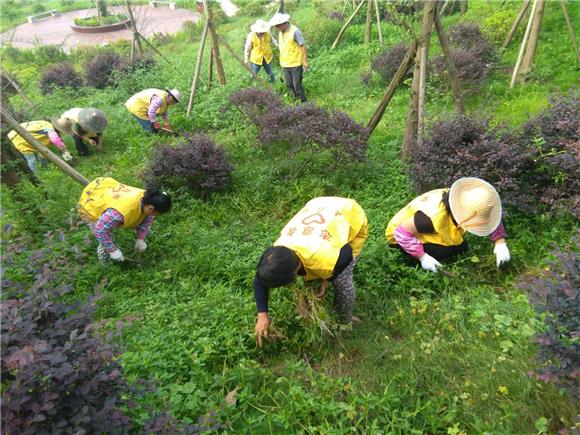 绿化工人正在对绿化进行整治补栽。通讯员 文静 摄