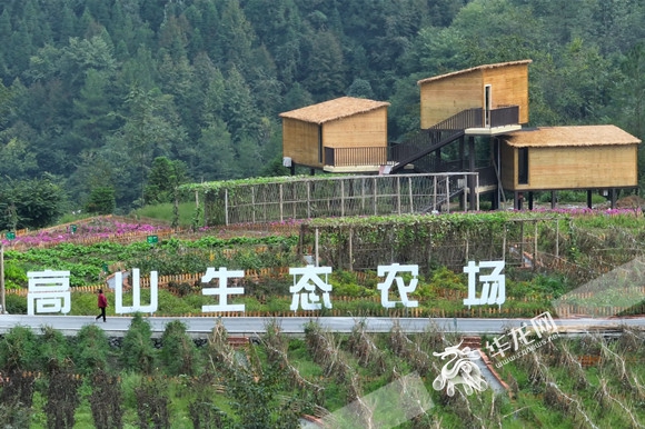 4高山生态农场内打造了民宿酒店。华龙网-新重庆客户端 沈扬 摄