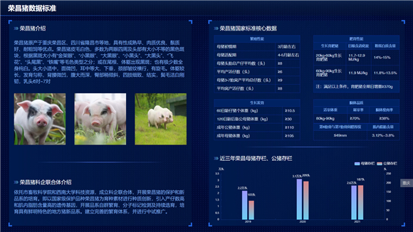 荣昌猪数据标准