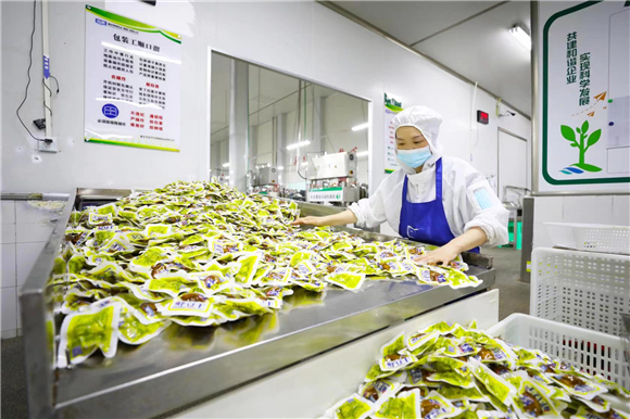 梁平区奇爽食品有限公司，工人在对预制菜产品进行质量抽查。刘辉  摄