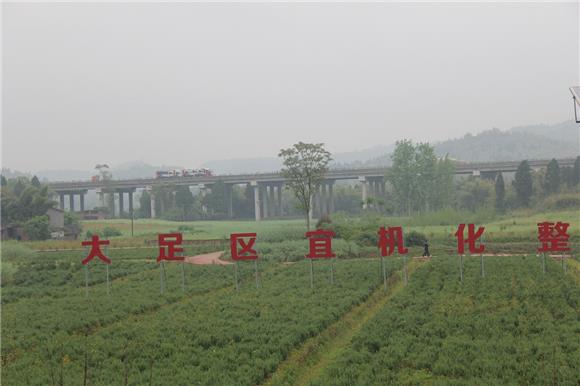 渝蓉高速高升段下的芳香产业园。特约通讯员 蒋文友 摄