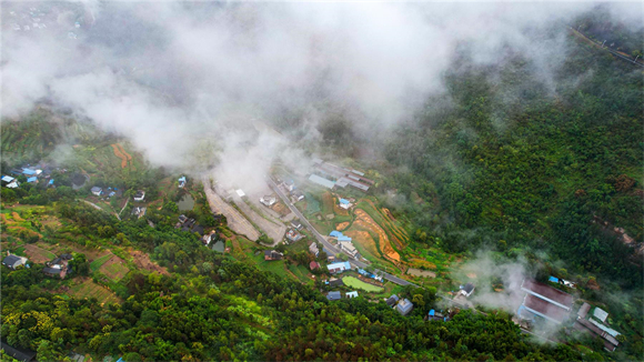 Layers of mist covered the village. (Photographed by Tan Qiyun)
