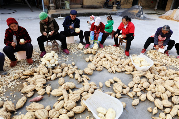 沧沟村夕阳红就业创业服务队正在削红薯皮。受访者供图 华龙网发