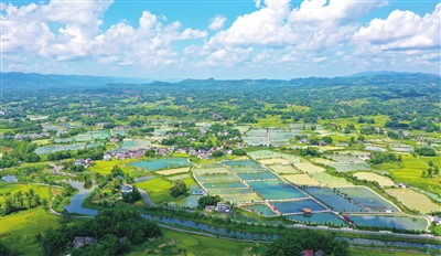 In the early autumn, in Chuanxi Village, Lirang Town, the fish ponds were like the palette of the earth, which was very beautiful. (Photographed by Xiong Wei)