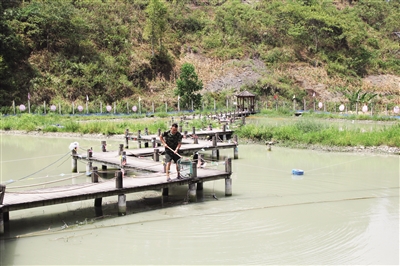 田昌林正在打捞鱼。记者 杨丽媛 摄