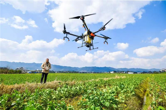 无人机喷洒农药。 齐岚森 摄