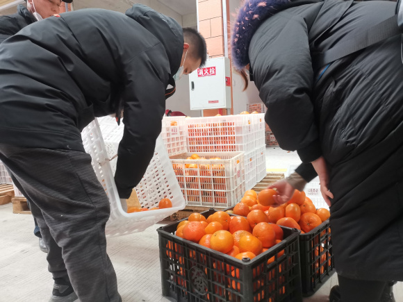 微信图片_20230101214807 微信图片_20230101214807