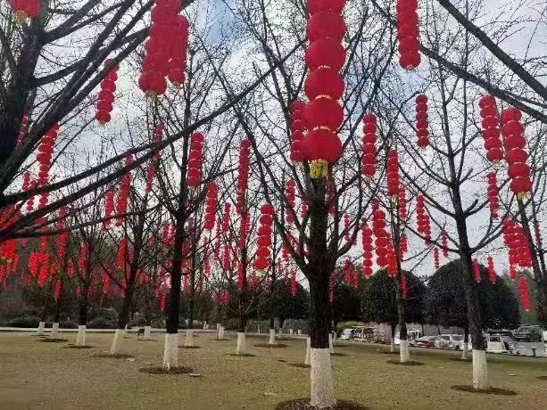 特色迎春灯组。重庆园博园供图