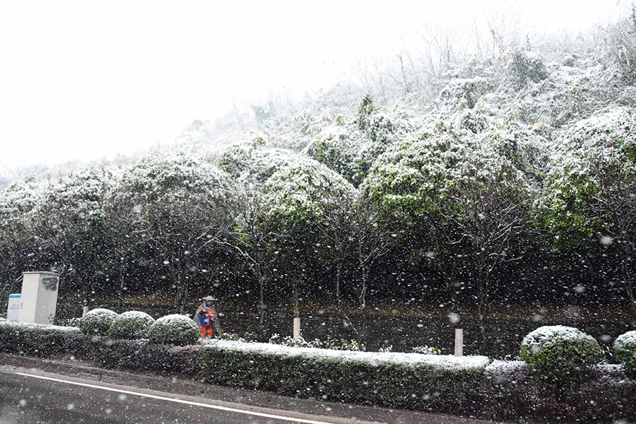 2016年1月23日，重庆中心城区飘雪，成为近7年唯一 一次降雪。重庆市气象局供图