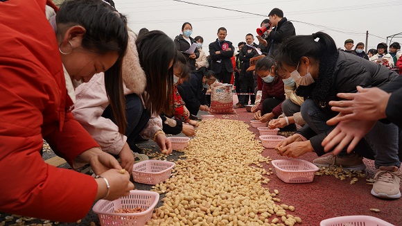 剥花生比赛现场。通讯员 刘先华 摄