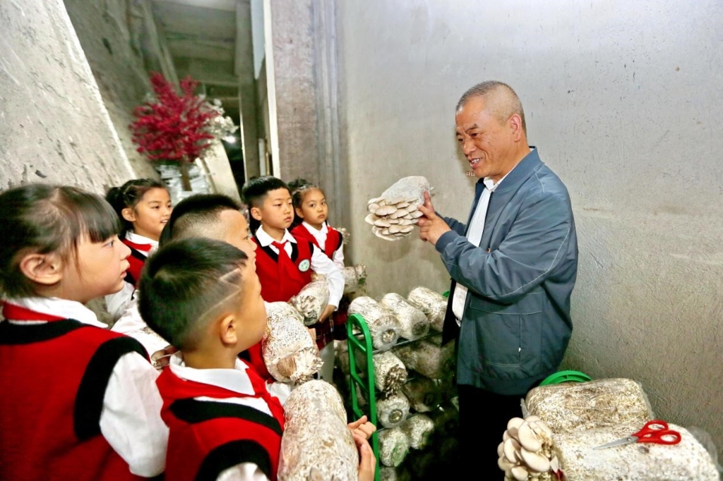 重庆万盛小学，老师在为同学们讲解种植蘑菇的相关知识。通讯员 王泸州 摄