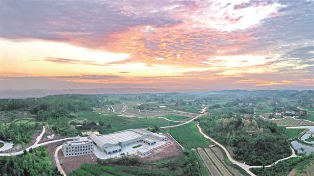 永川与西南大学夏庆友教授团队深化合作建设的重庆首个现代蚕桑产业基地。